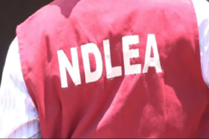NDLEA1