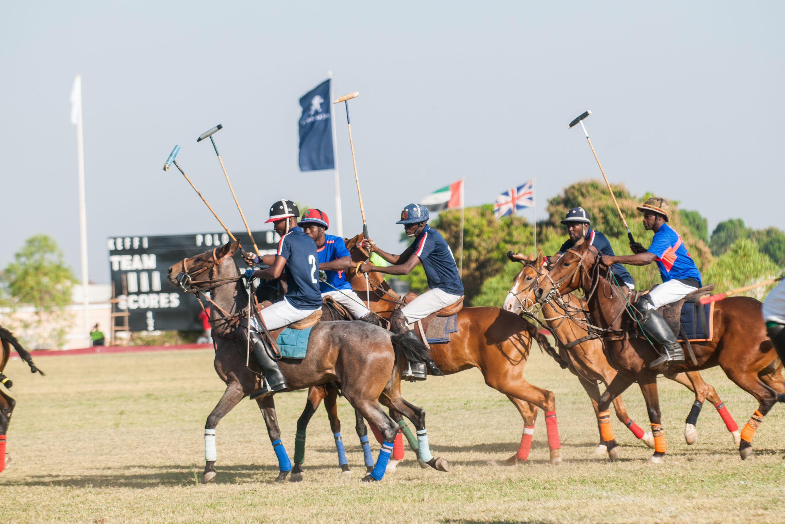 POLO-scaled
