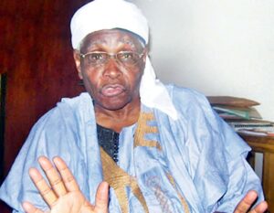 Professor-Ango-Abdullahi