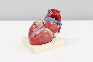 heart-failure