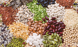 NASC raids Minna, seizes 15 bags of fake agricultural seeds