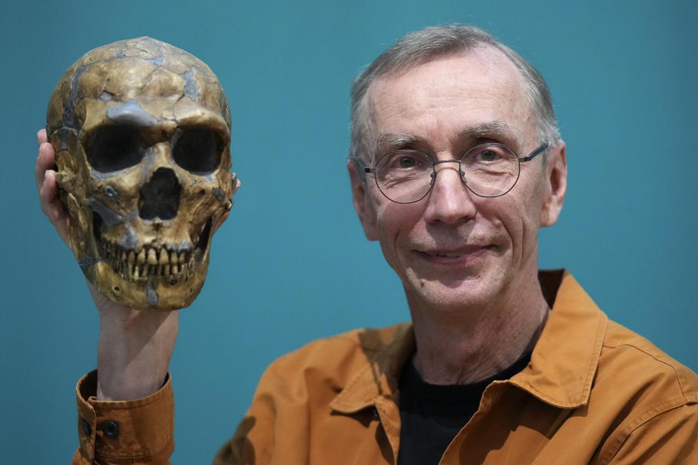 Swedish scientist Svante Paabo poses with a replica of a Neanderthal skeleton at the Max Planck Institute for Evolutionary Anthropology in Leipzig, Germany, Monday, Oct. 3, 2022. Swedish scientist Svante Paabo was awarded the 2022 Nobel Prize in Physiology or Medicine for his discoveries on human evolution. (AP Photo/Matthias Schrader)