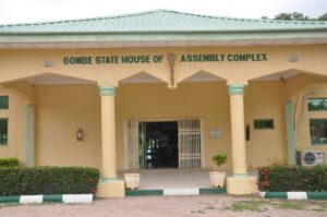 Group celebrates as Gombe assembly passes VAPP law