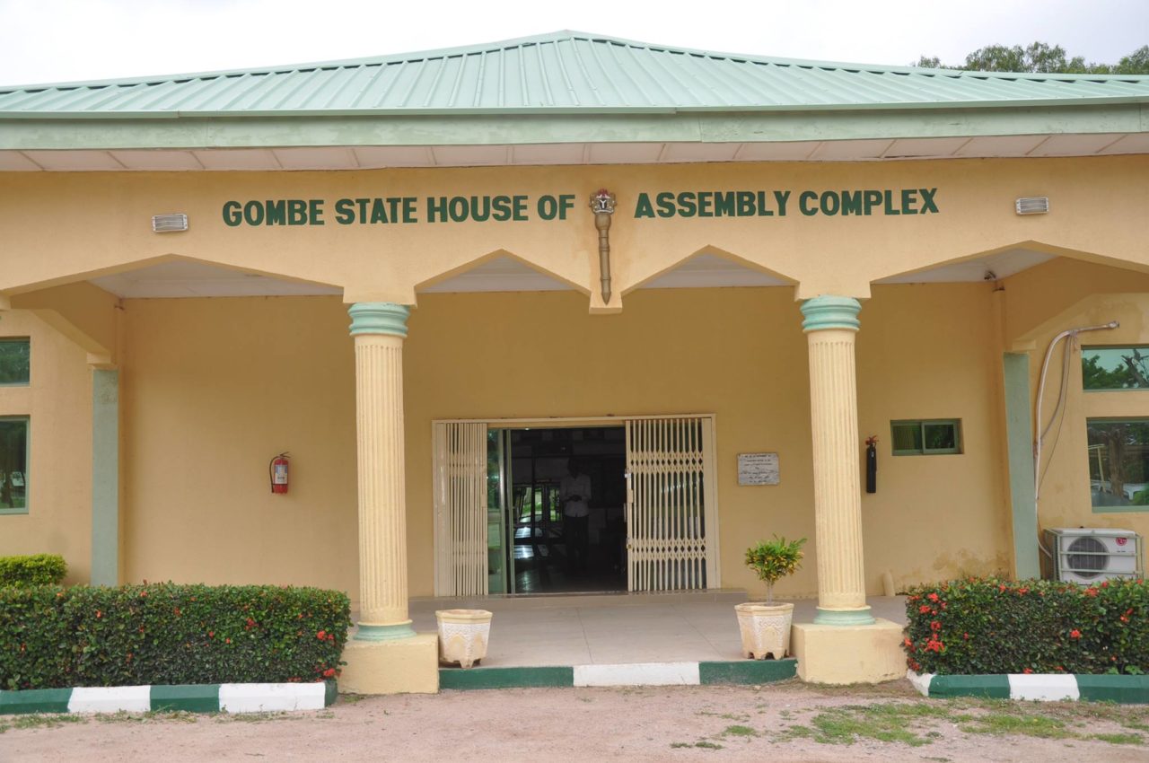 Group celebrates as Gombe assembly passes VAPP law
