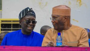 Road to 2023: No crisis in PDP, campaign train moving – Ayu