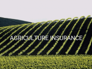AGRIC-INSURANCE