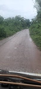 IMG-20221028-WA0019-138×300