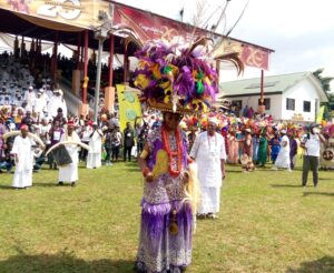 My ascension to Onitsha traditional stool, journey of leadership change, says Achebe
