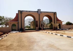 Kebbi university