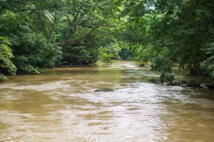 Osun river