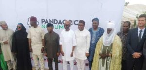 Pandagric-Novum-NSIA-Backed-Project-1