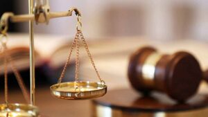 I want to see my child, US-based professor tells court