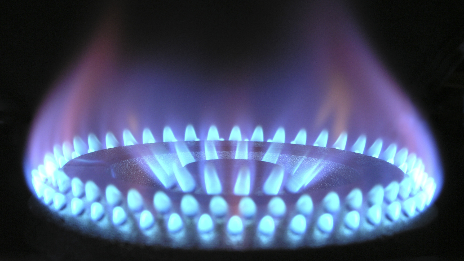 EU citizens fail first gas-saving test – regulator