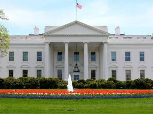 White-House