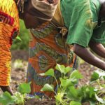 female-farmers
