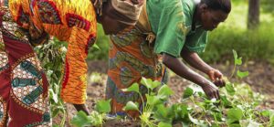 female-farmers