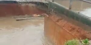 flood-750×375