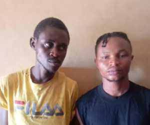 fraudsters