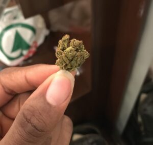 Nigeria world’s highest consumer of cannabis with over 10.6 million users – NDLEA