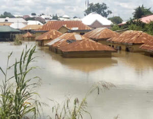 kogi-flood