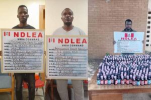 ndlea44