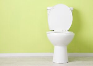 Stakeholders list benefits of World Toilet Summit to Nigeria