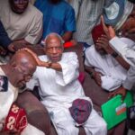 Adebanjo remains acting leader of Afenifere – Fasoranti
