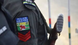 Cult War: Security arrests 30 suspects in Rivers
