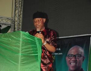 Road to Major General Lincoln Ogunewe (retd): Ex-army chief calls for a better Imo