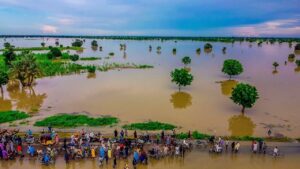 Flooding: Group blames govt for deaths, displacement of 2.5 million