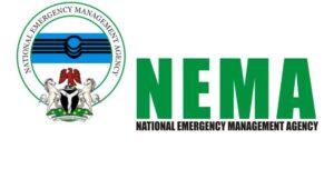 NEMA-750×425
