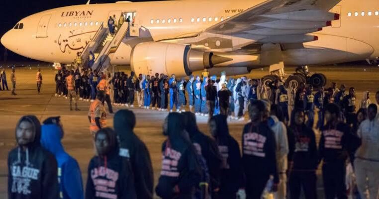 NEMA receives another of batch 259 stranded Nigerians from Libya