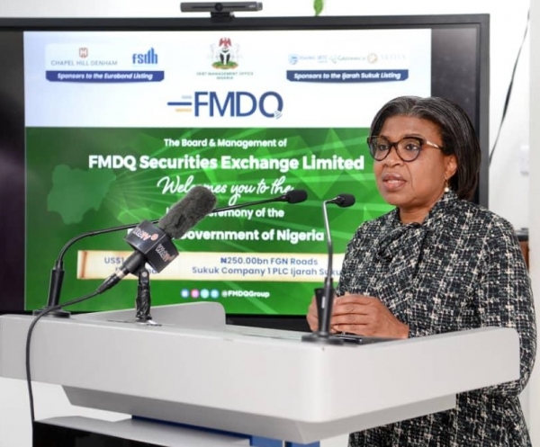 Why Nigeria’s debt profile is rising – DMO