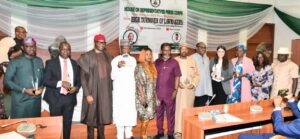 High turnover of lawmakers affecting legislature – NILDS DG