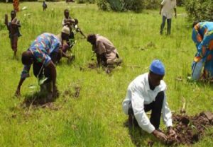 Farmers
