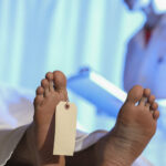 body-autopsy-alt