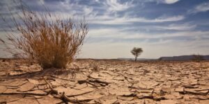 climate-change-nigeria
