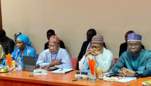 Road to 2023: I don’t know what to do with N345 million capital budget – Lai Mohammed