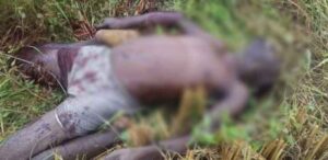 herdsmen6