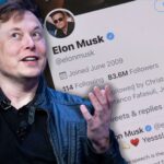 FG monitoring Twitter after Elon Musk takeover