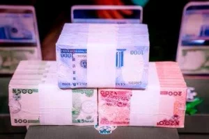 redesigned naira notes