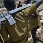 FG’s failure to arrest, prosecute violent Fulani herders sign of complicity – HURIWA