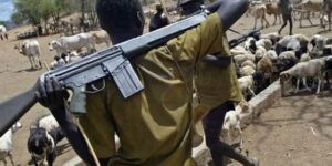 FG’s failure to arrest, prosecute violent Fulani herders sign of complicity – HURIWA