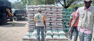 Saudi aid centre, FG deliver relief to Borno IDPs