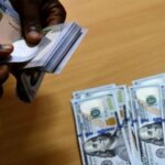 FG orders CBN to provide forex for shipowners at official rate