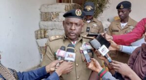 Kano NDLEA seizes 8486.8 kg of drugs, arrests 172 suspects in 2022