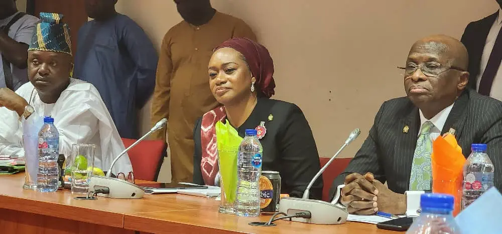 Senate Committee screens Ahmad, Adamu for second term as CBN’s Deputy Governors