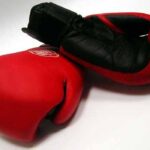 boxer-gloves