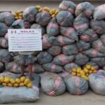 NDLEA seizes 5.4m kg of assorted illicit drugs, convicts 2,904 drug traffickers – Marwa