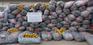 NDLEA seizes 5.4m kg of assorted illicit drugs, convicts 2,904 drug traffickers – Marwa